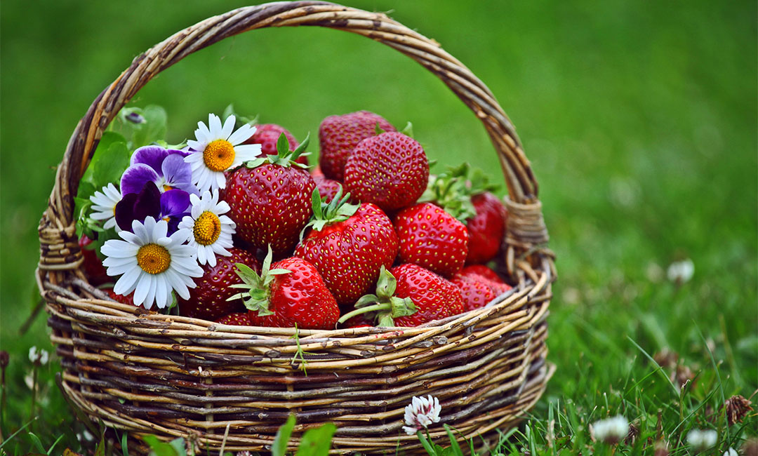 新疆点呀点水果电商APP开发案例